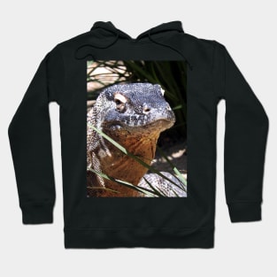 Komodo Dragon Hoodie